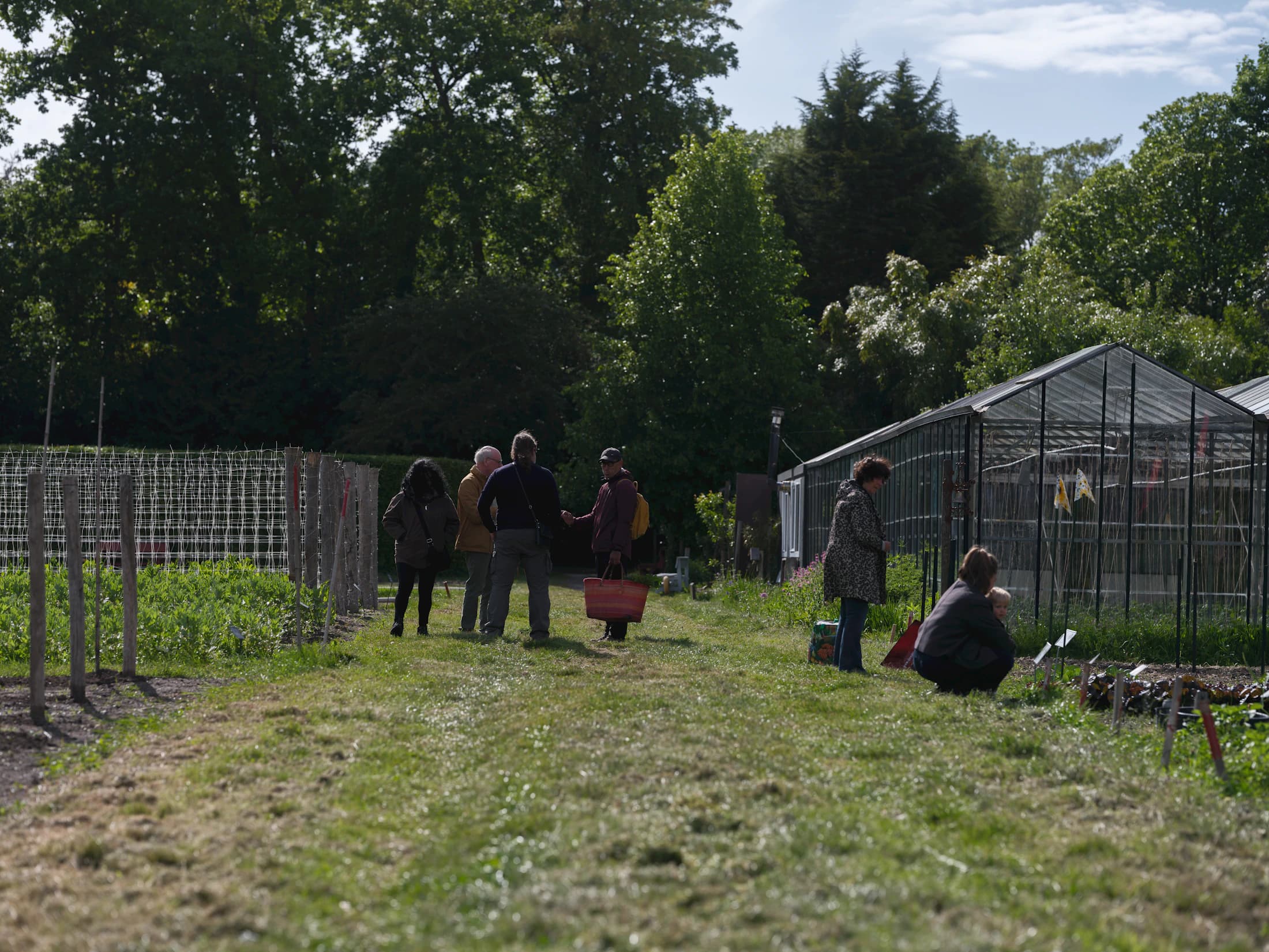 Neighbours working and gathering in a community garden